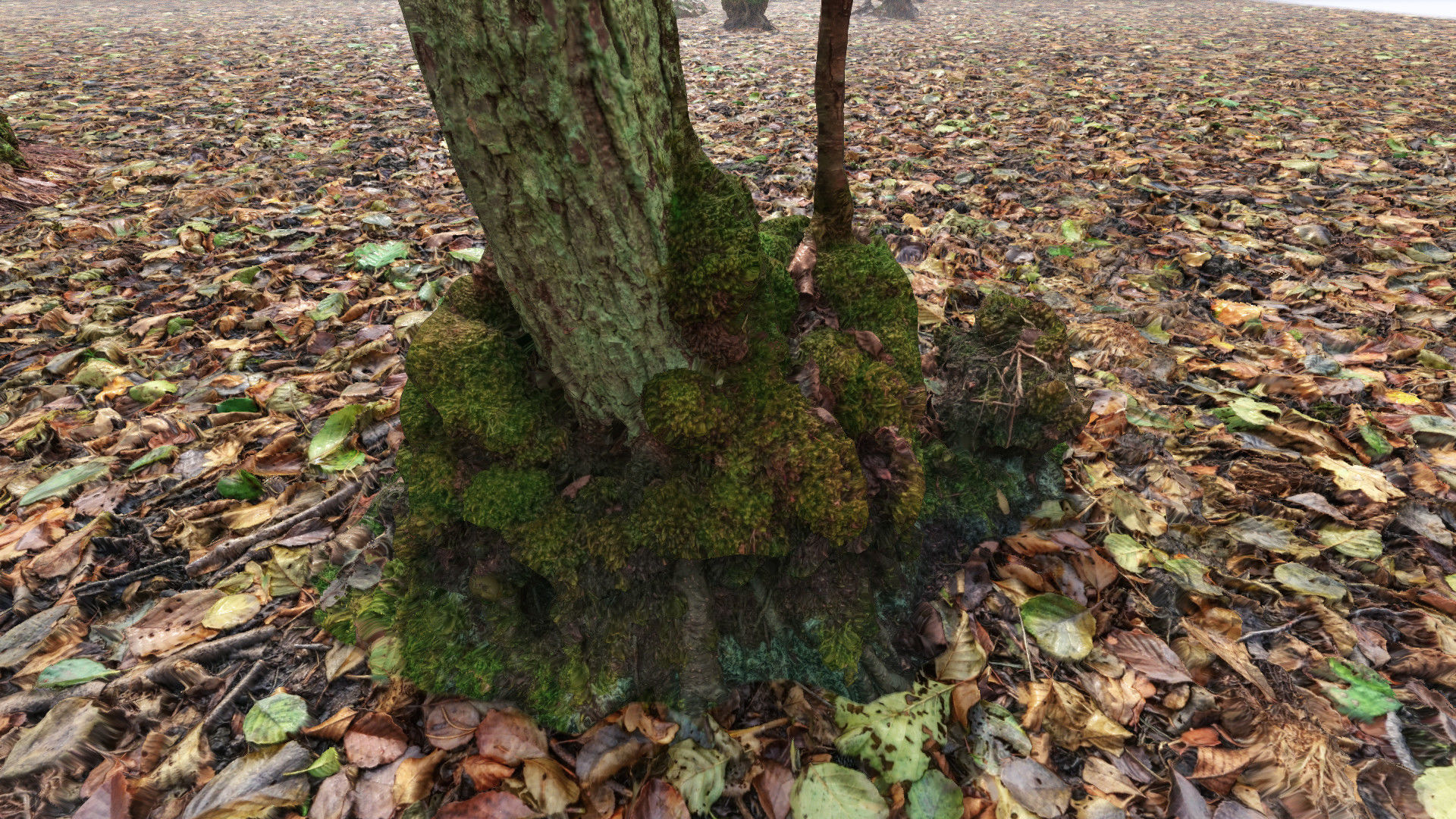 Mossy Tree trunks- Processed Scans PBR 4K Low-poly 3D model_9