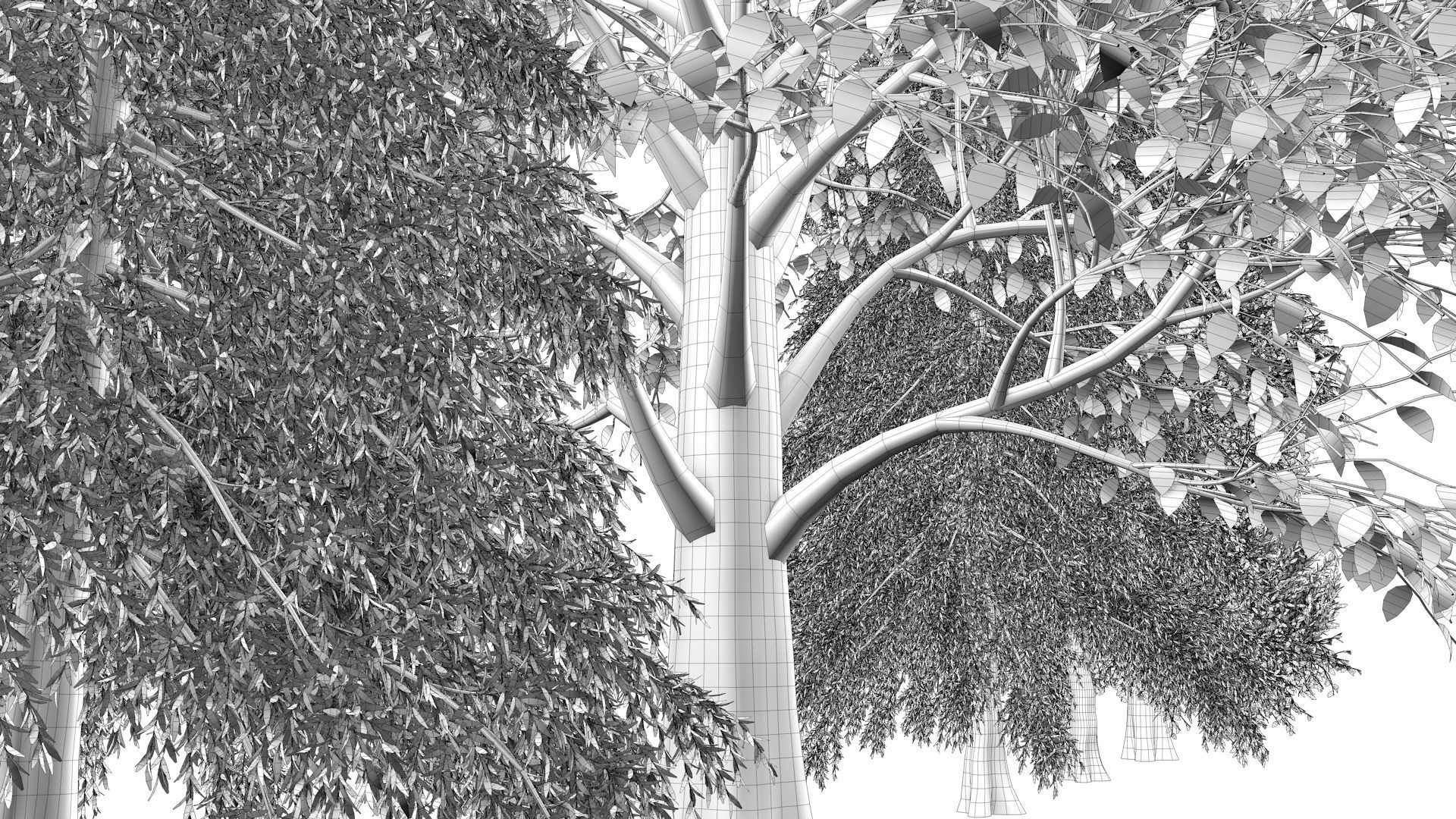 5-5 Season Tree  3D model_19