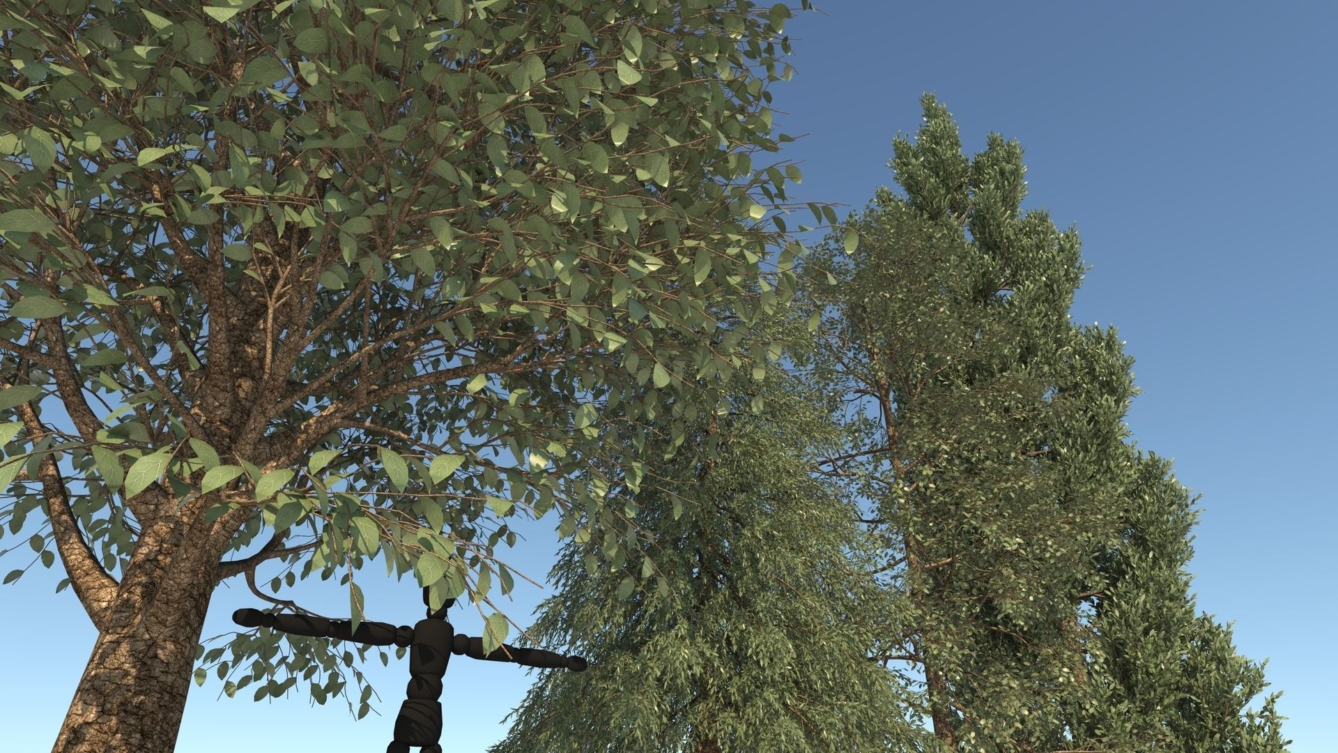 5-5 Season Tree  3D model_8