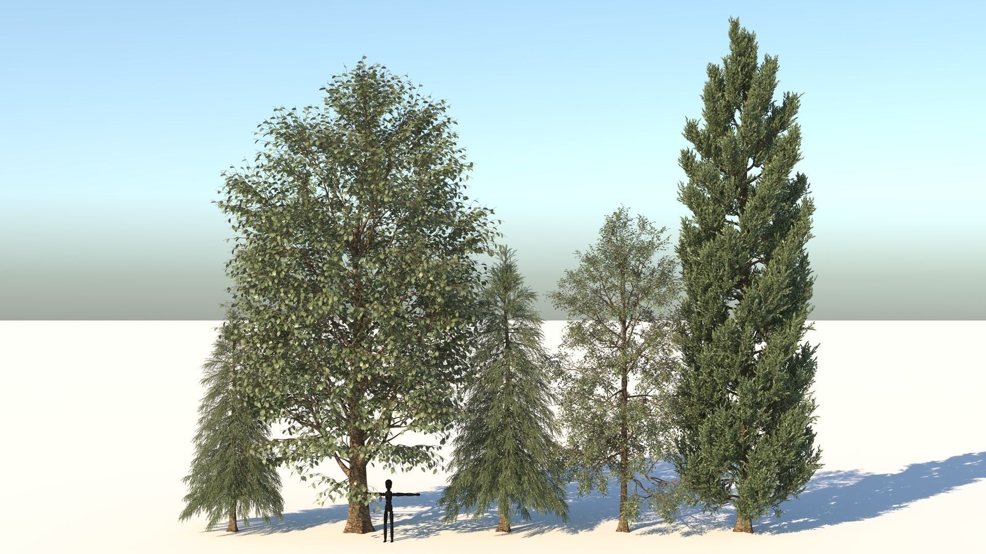 5-5 Season Tree  3D model_2