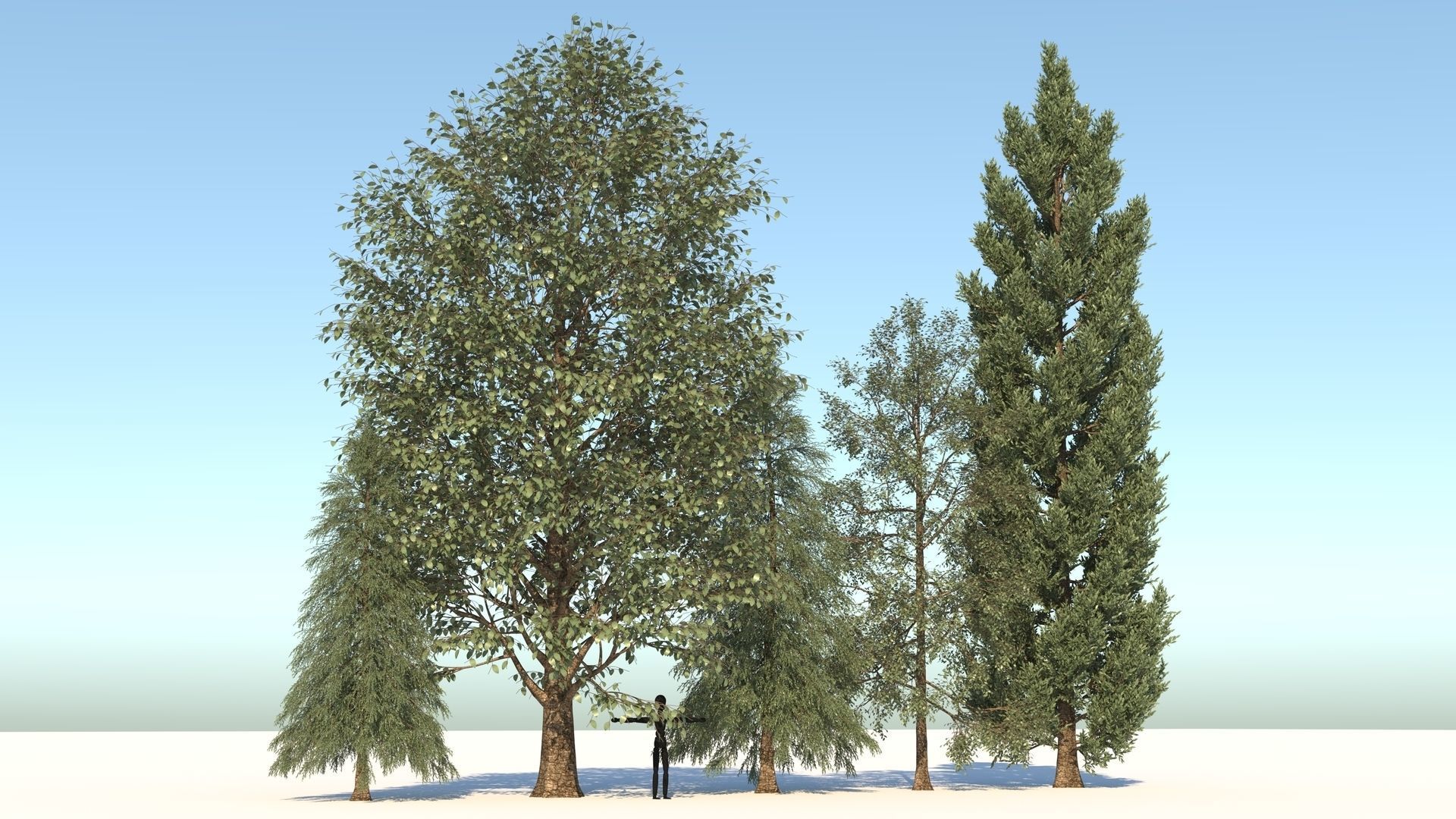 5-5 Season Tree  3D model_4
