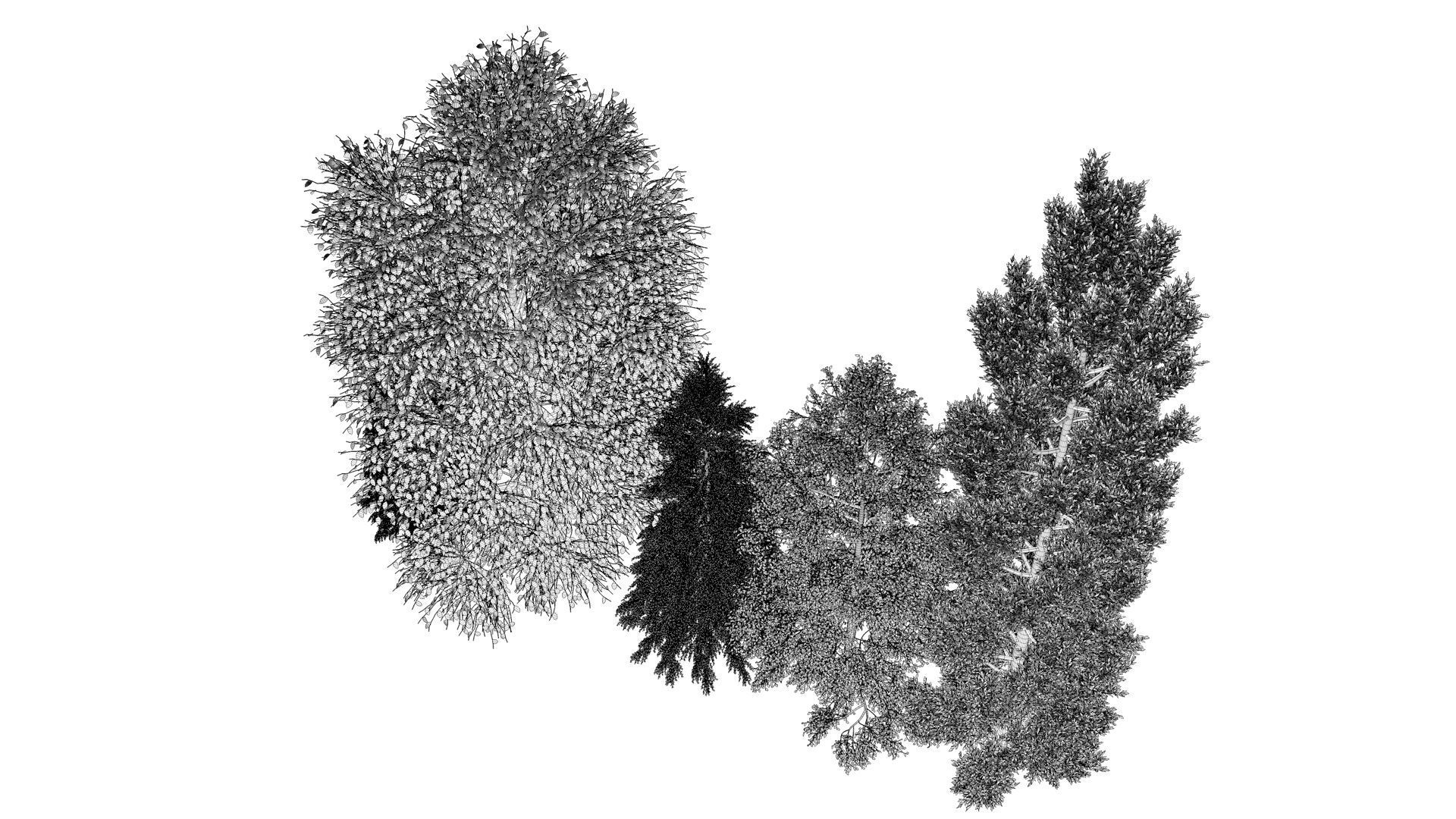 5-5 Season Tree  3D model_15