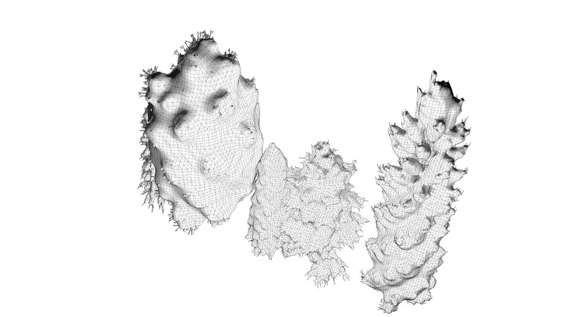 5-5 Season Tree  3D model_21