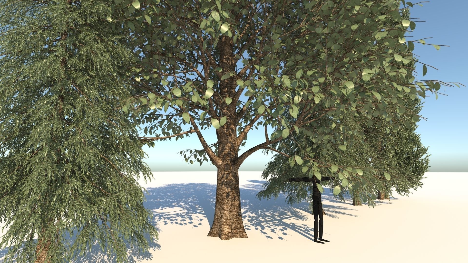 5-5 Season Tree  3D model_11