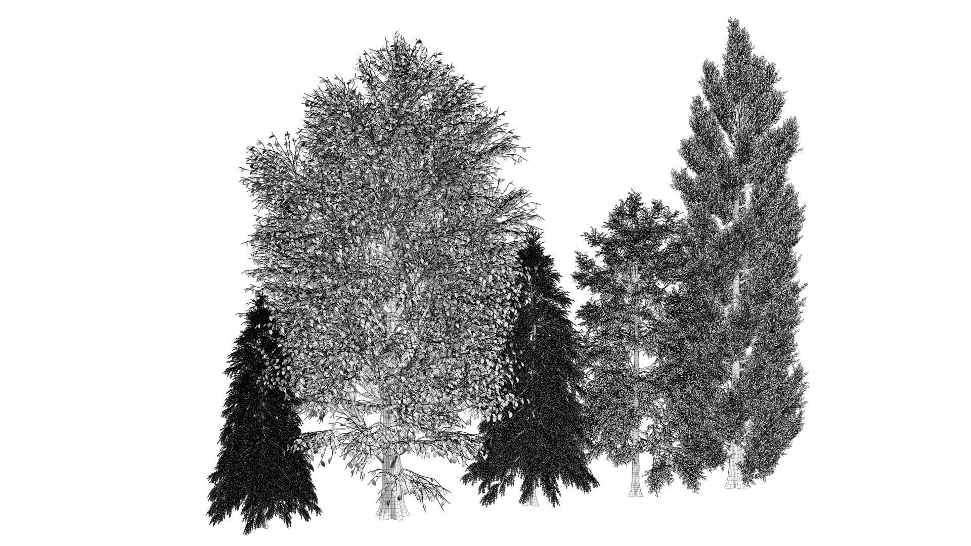 5-5 Season Tree  3D model_14