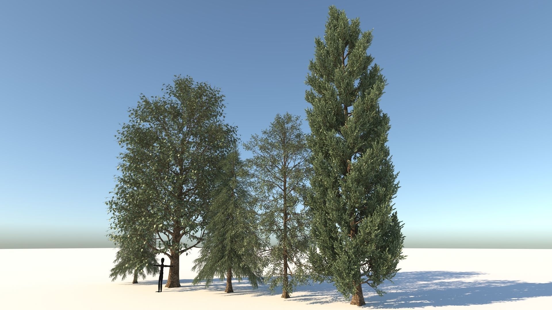 5-5 Season Tree  3D model_6