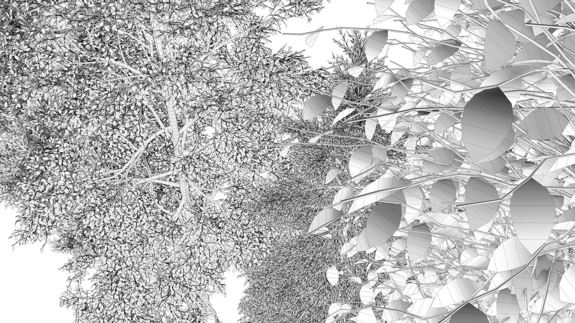5-5 Season Tree  3D model_18