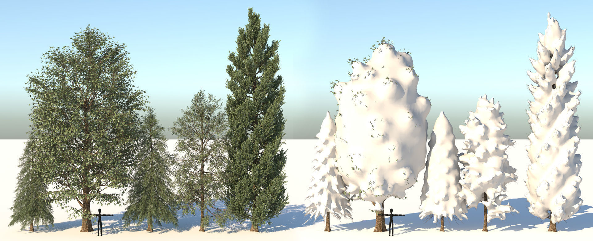5-5 Season Tree  3D model_1
