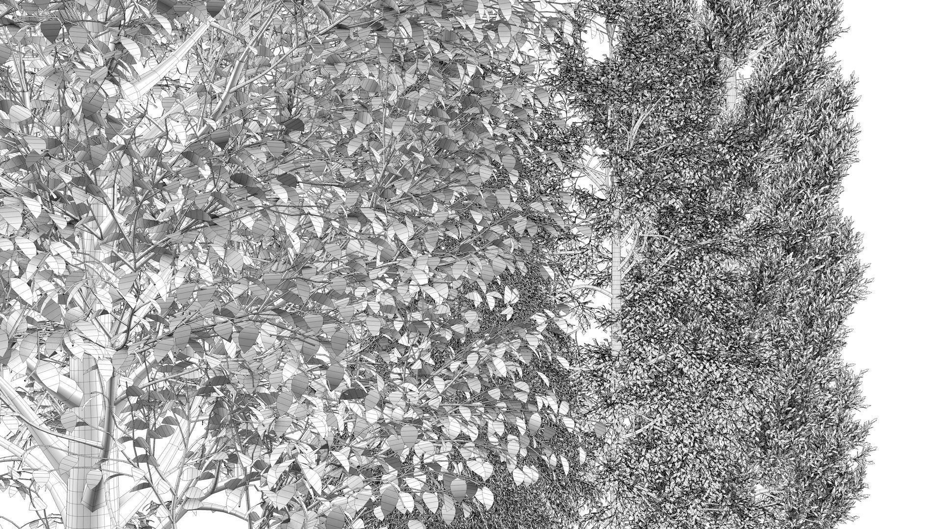 5-5 Season Tree  3D model_16