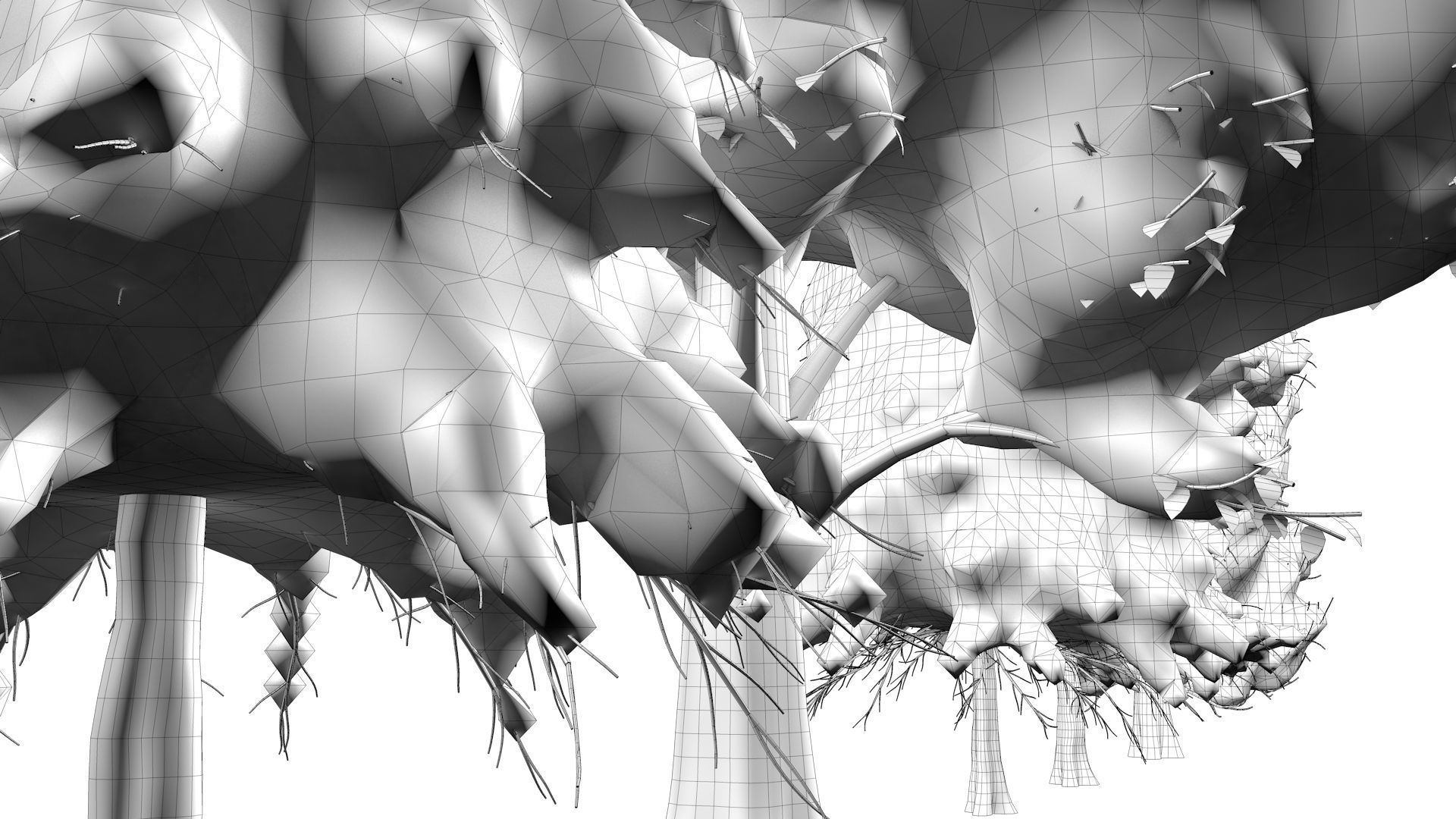 5-5 Season Tree  3D model_25
