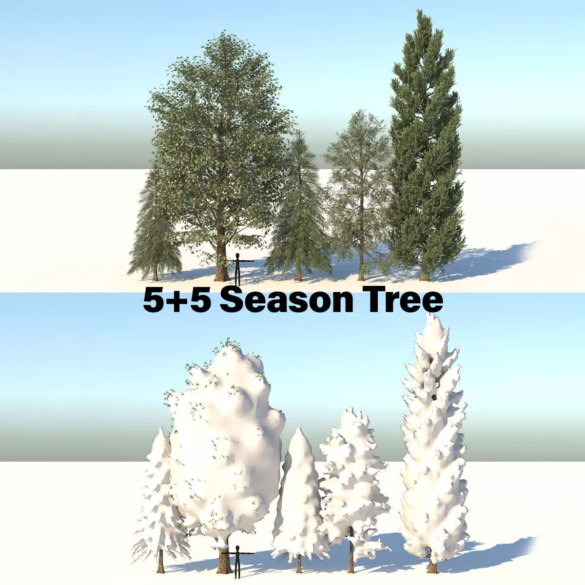 5-5 Season Tree  3D model_0