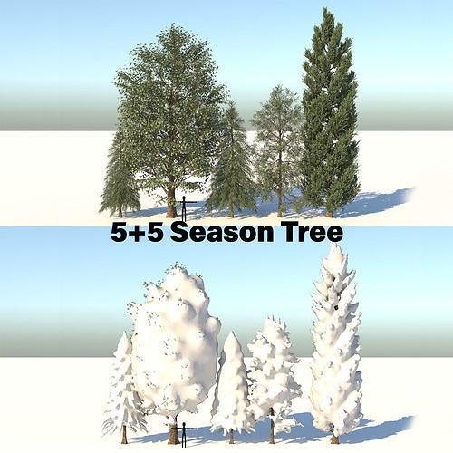 5-5 Season Tree  3D model