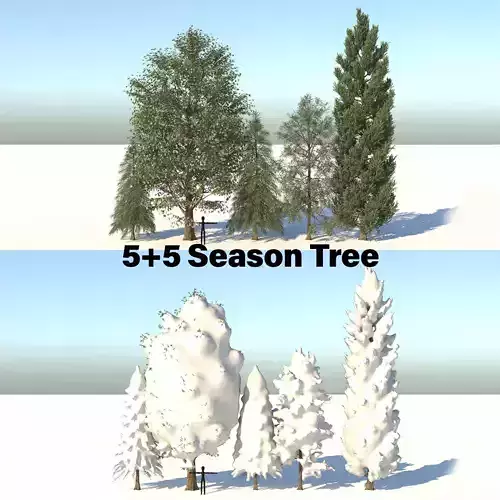 5-5 Season Tree  3D model