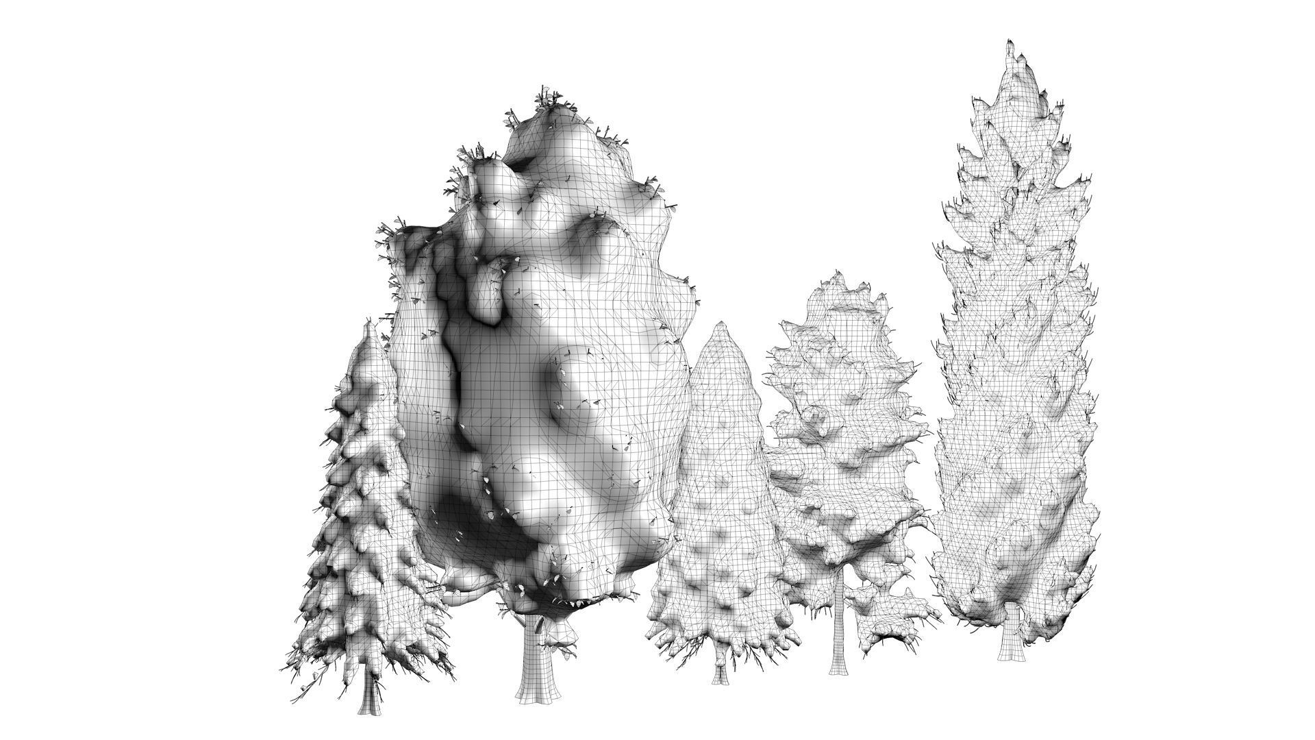 5-5 Season Tree  3D model_20