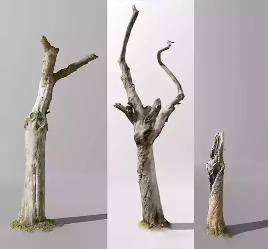 Dead Tree Collection 3D Low poly Low-poly 3D model