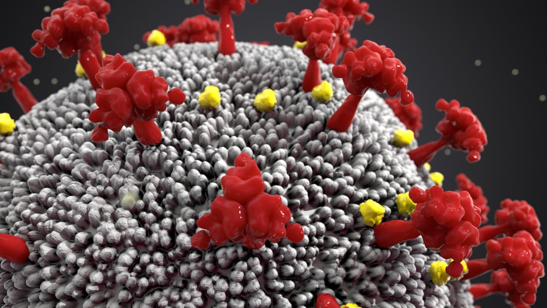 COVID-19 3D model Cinema 4D Redshift 3D model_2