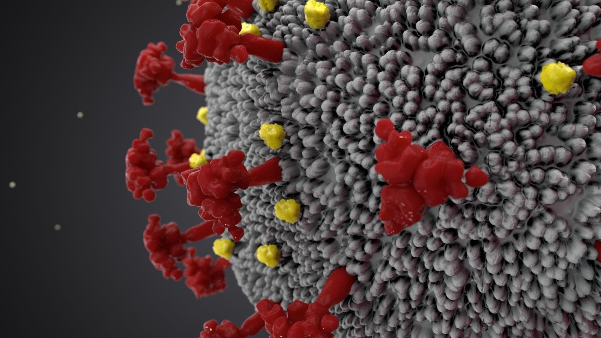 COVID-19 3D model Cinema 4D Redshift 3D model_3