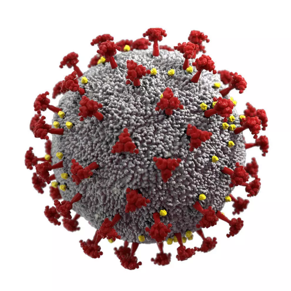 COVID-19 3D model Cinema 4D Redshift 3D model_0