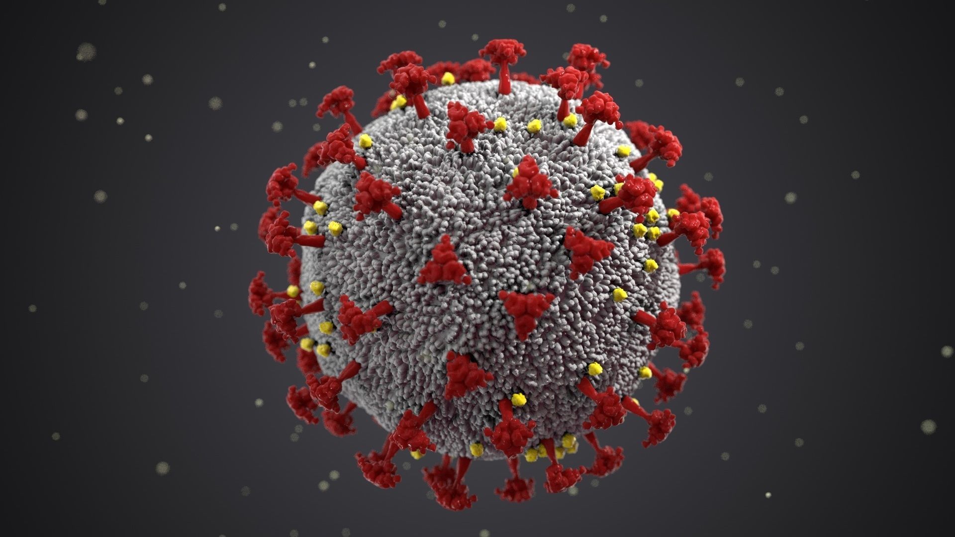 COVID-19 3D model Cinema 4D Redshift 3D model_1