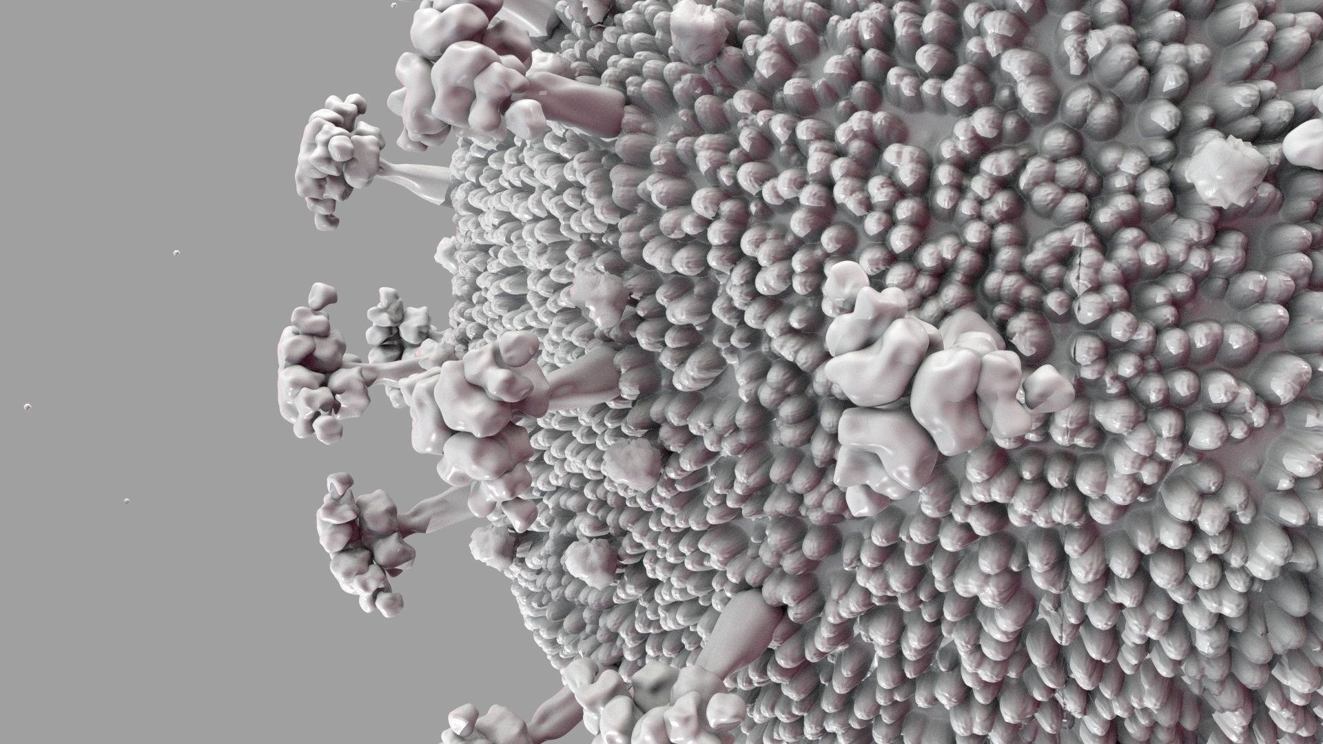 COVID-19 3D model Cinema 4D Redshift 3D model_6