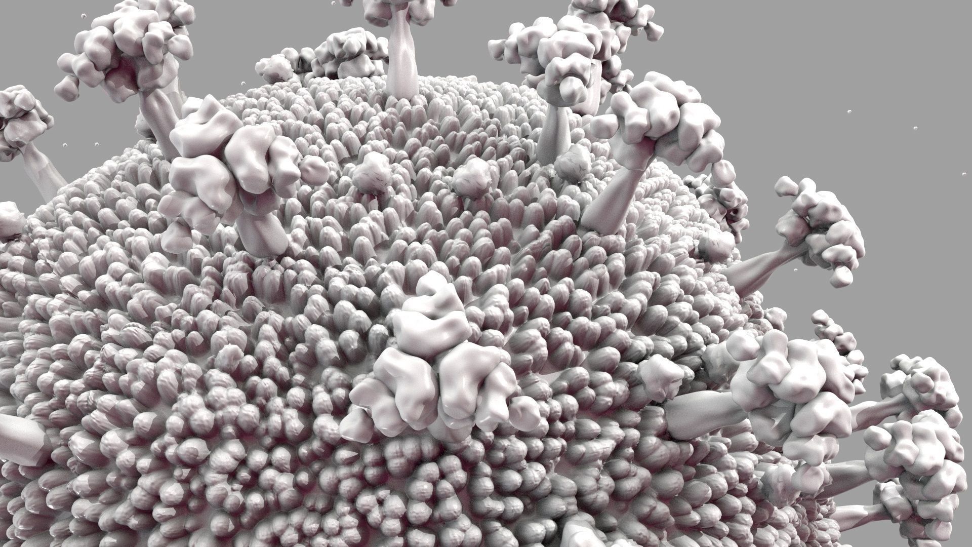 COVID-19 3D model Cinema 4D Redshift 3D model_5