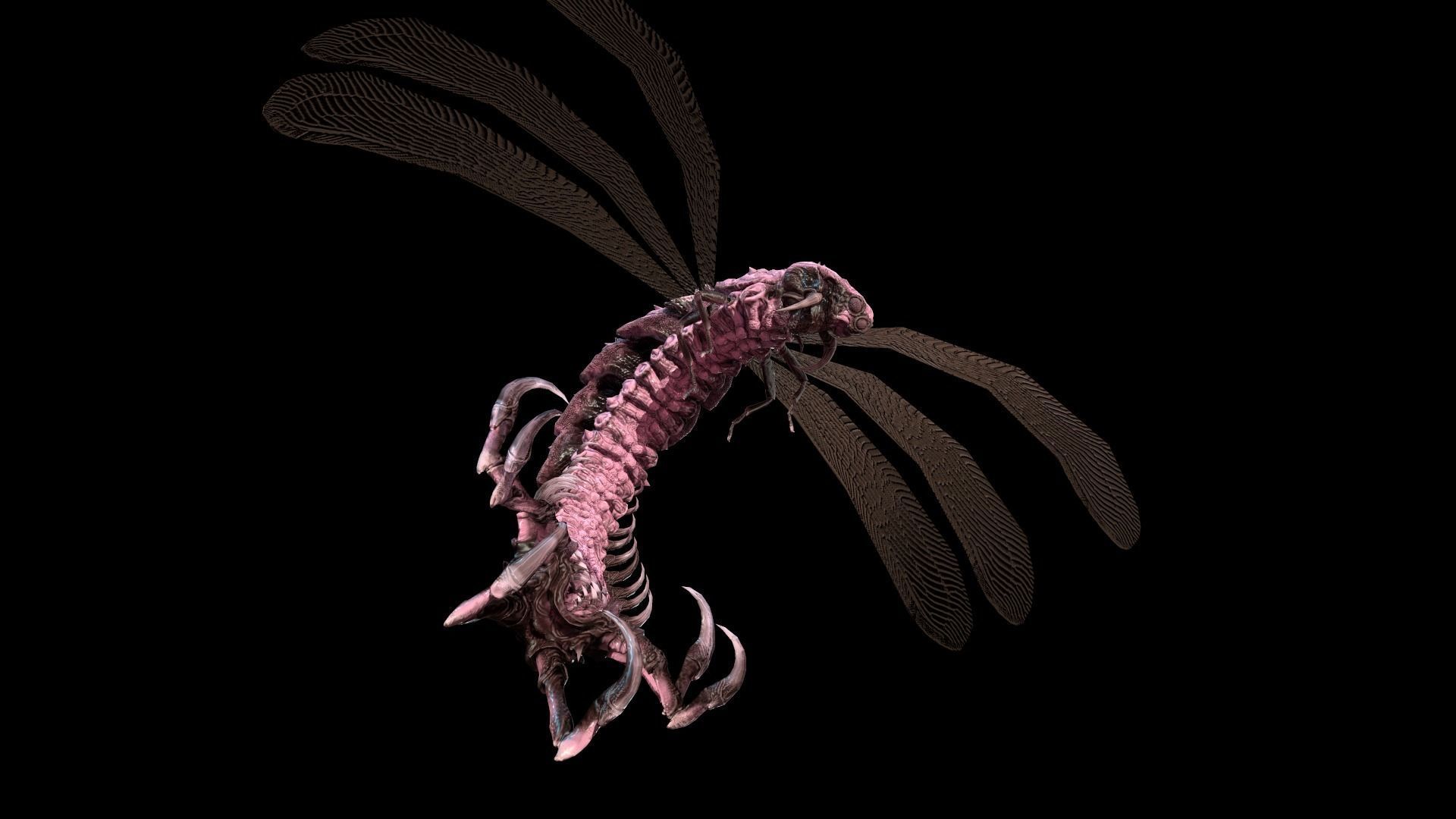 Flying Bug 7 Low-poly 3D model_21