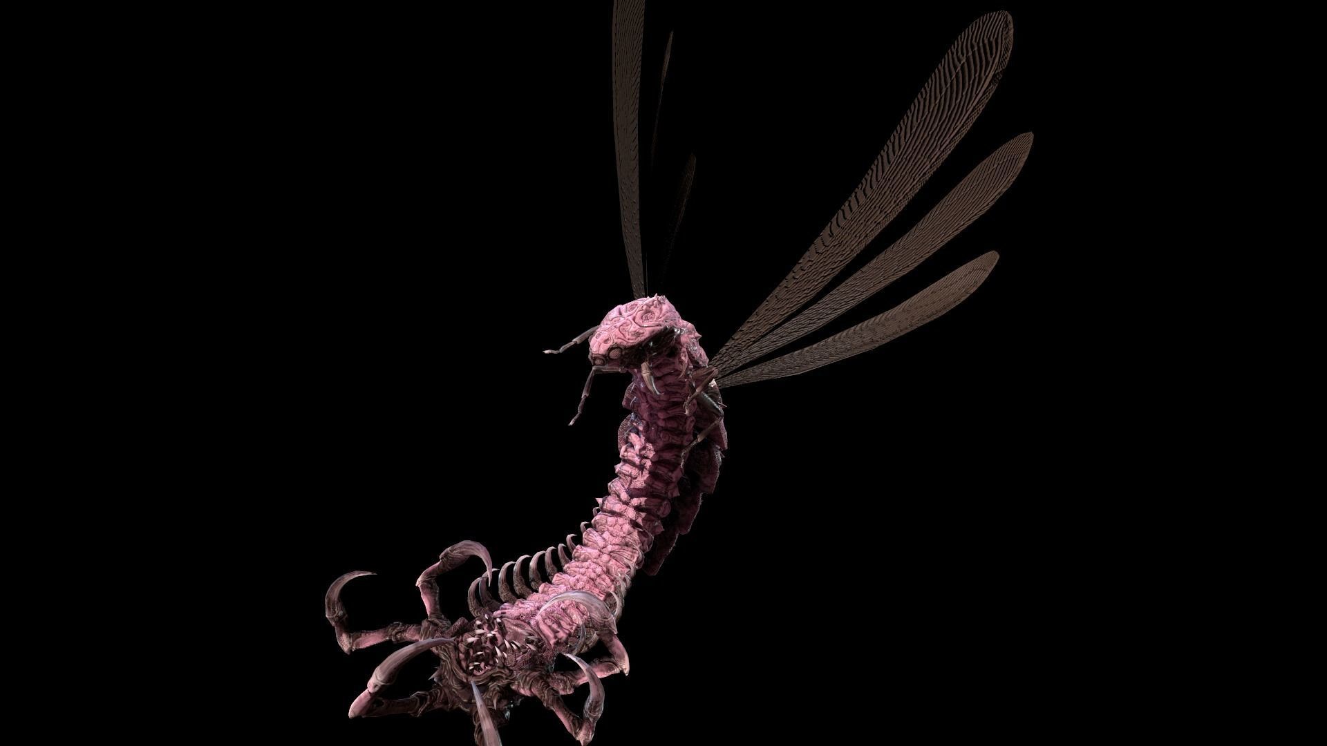 Flying Bug 7 Low-poly 3D model_22