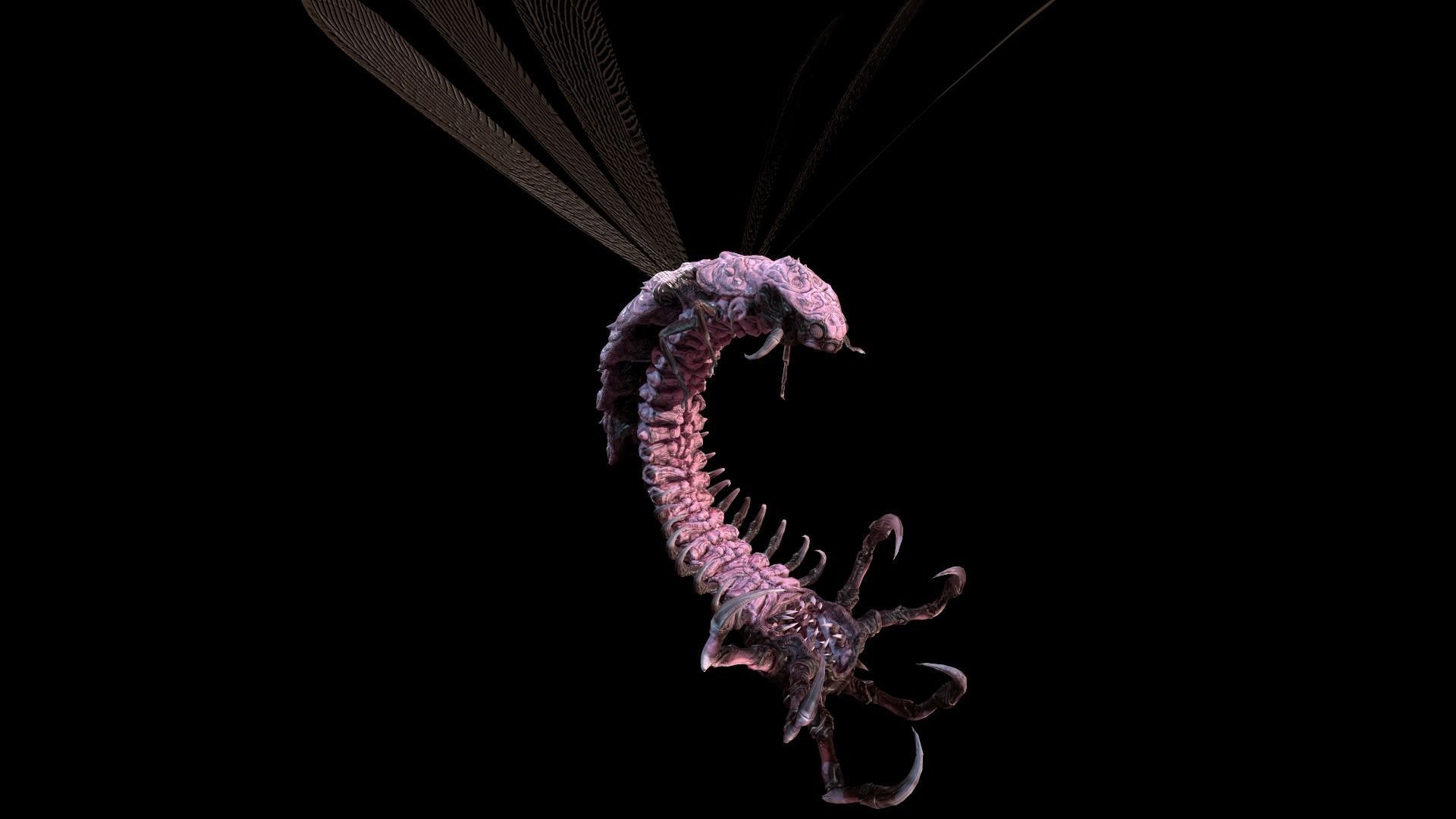 Flying Bug 7 Low-poly 3D model_19