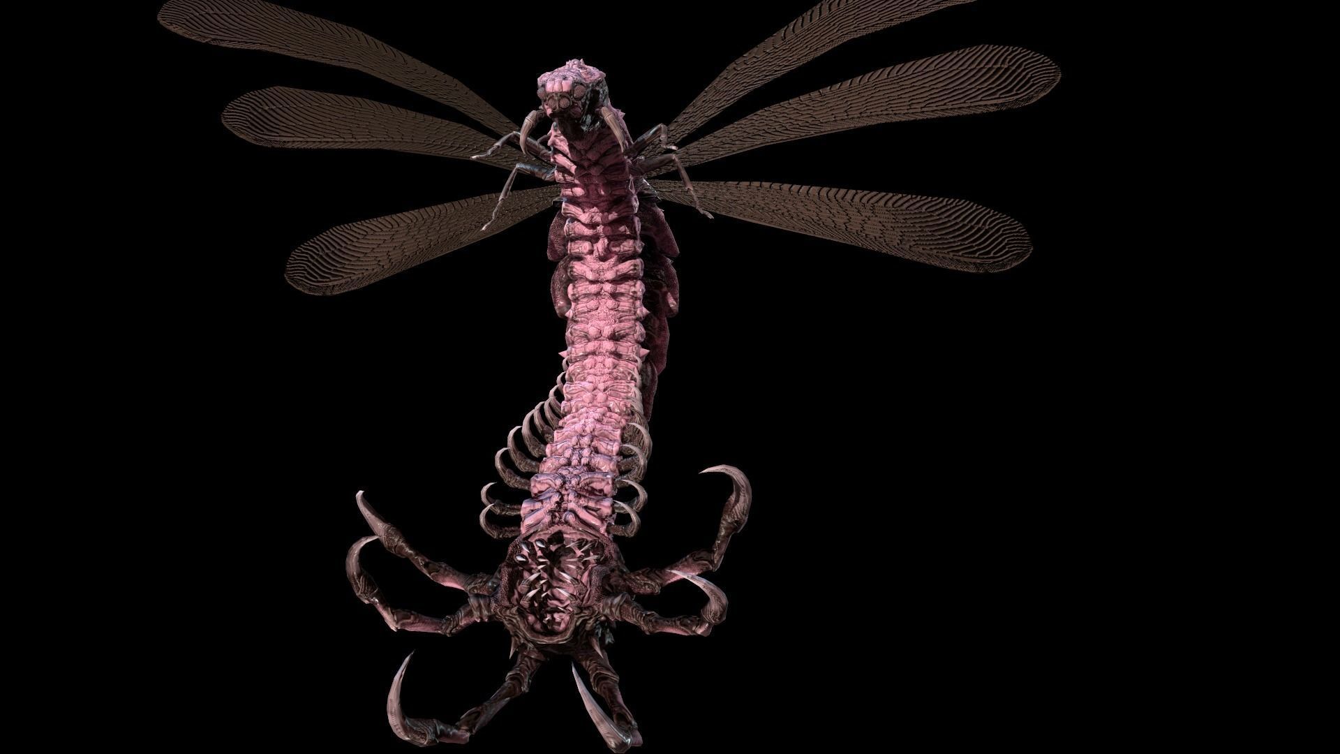 Flying Bug 7 Low-poly 3D model_20