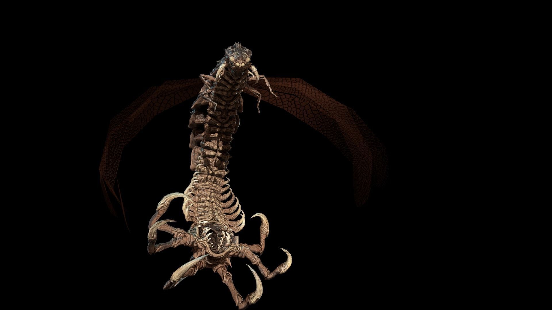 Flying Bug 7 Low-poly 3D model_12