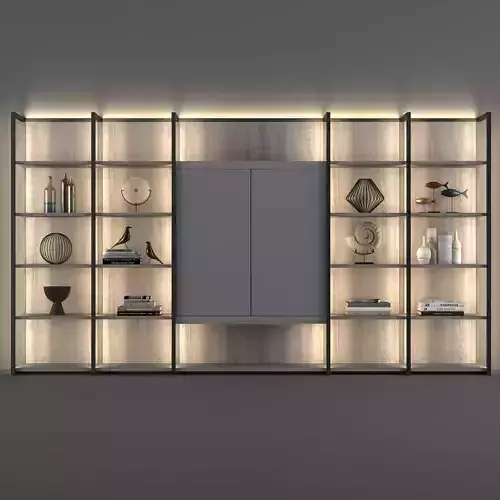 Natevo Continuum bookcase Flou 3D model