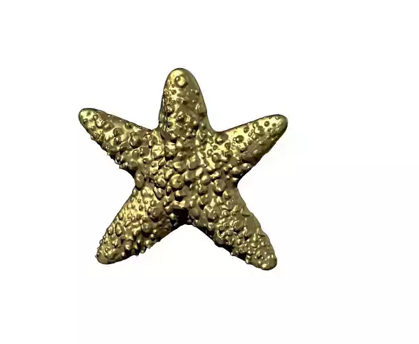 starfish pendant 3D model