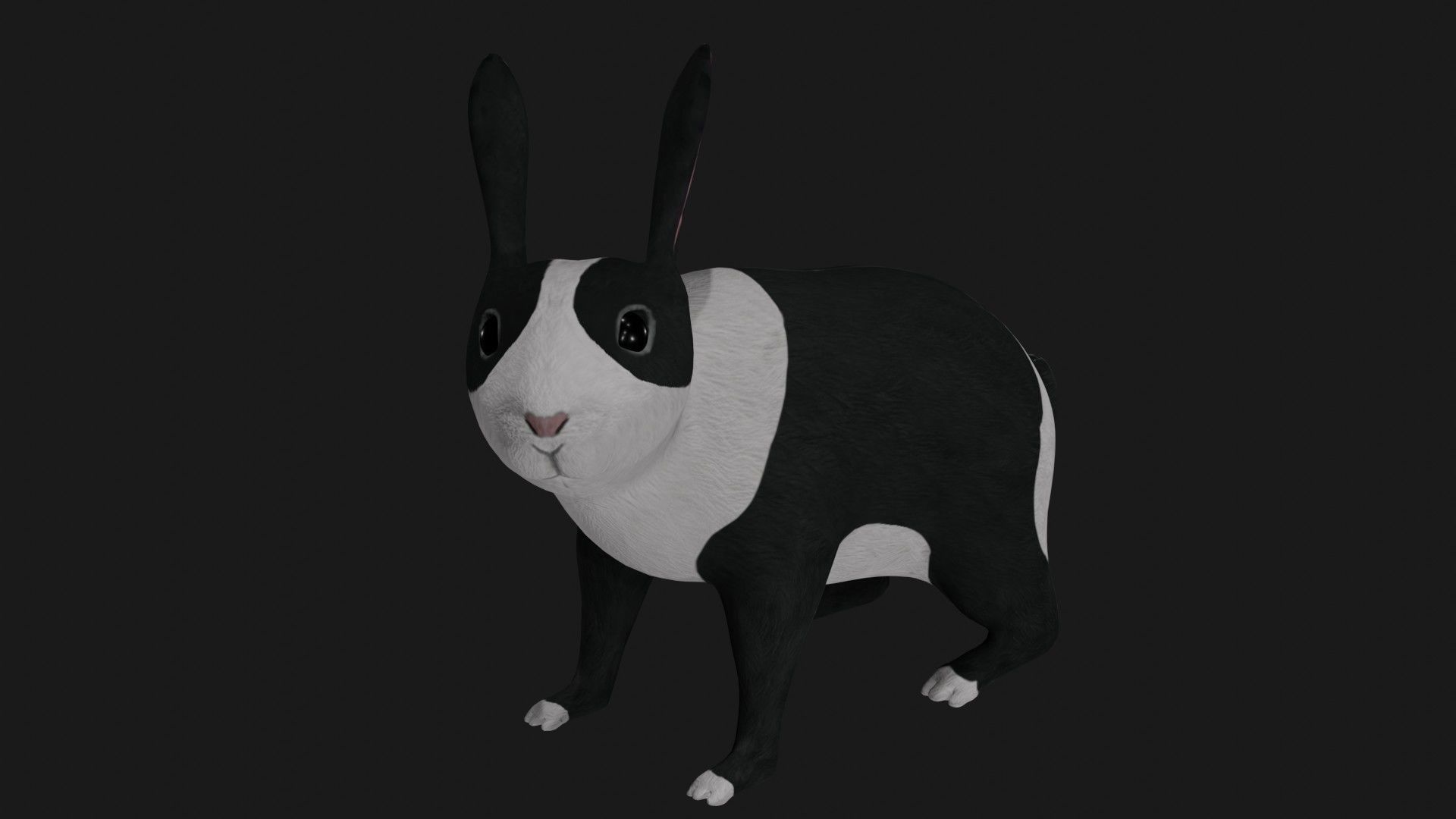 Black and white Rabbit low poly rigged  Low-poly 3D model_1