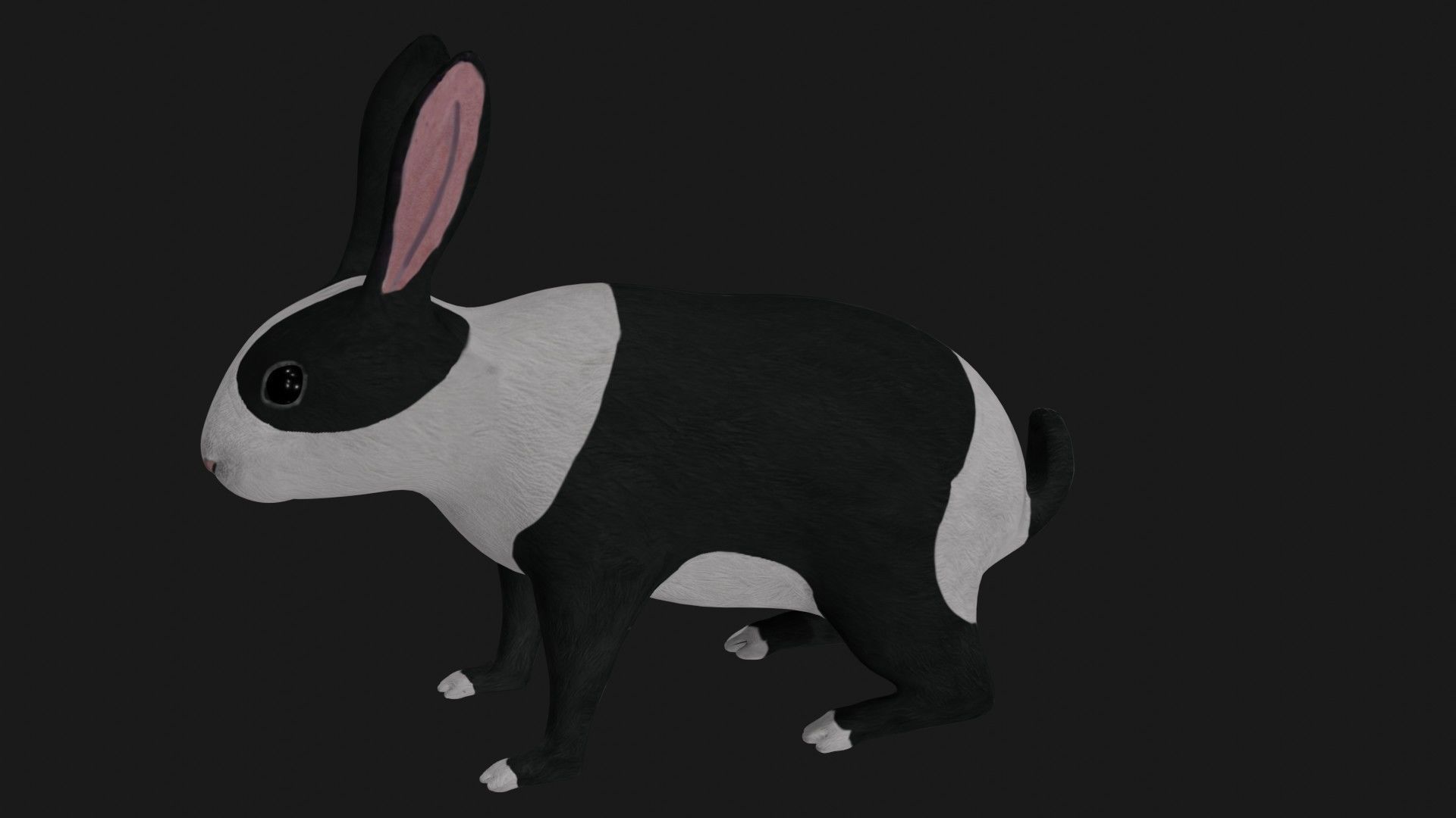Black and white Rabbit low poly rigged  Low-poly 3D model_3