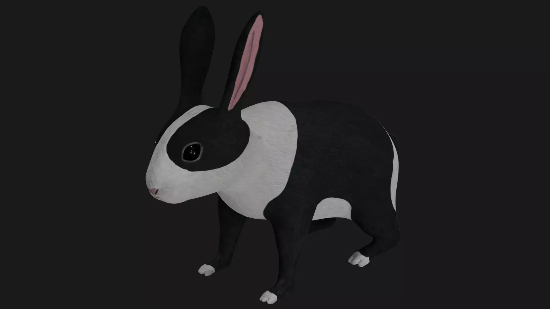 Black and white Rabbit low poly rigged  Low-poly 3D model_0