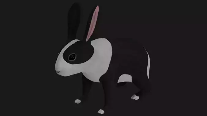 Black and white Rabbit low poly rigged  Low-poly 3D model