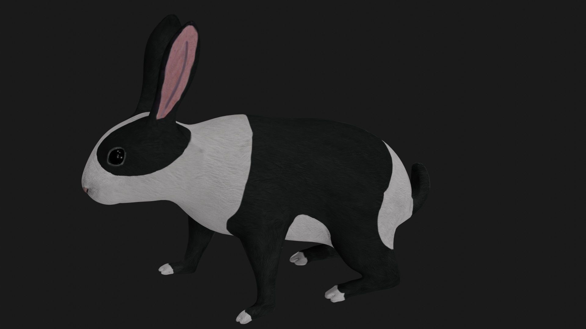 Black and white Rabbit low poly rigged  Low-poly 3D model_2