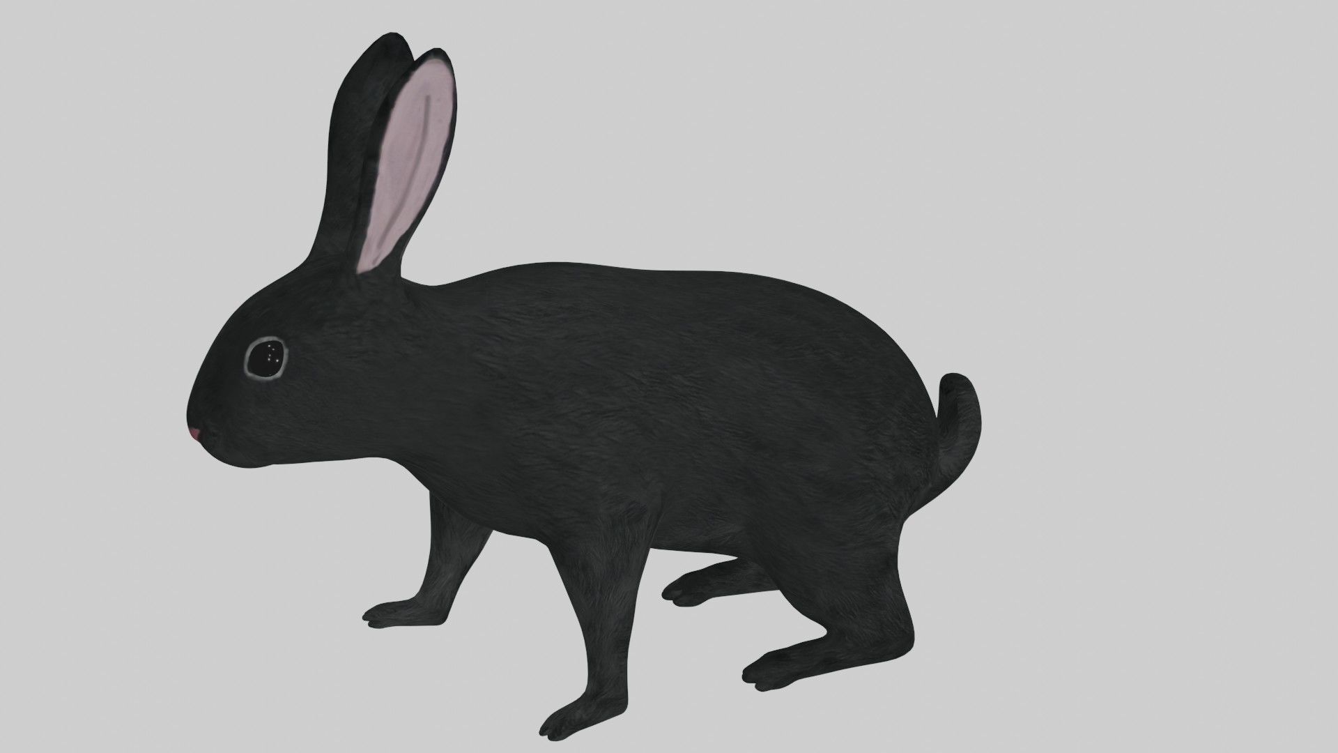 Black Rabbit low poly rigged Low-poly 3D model_2