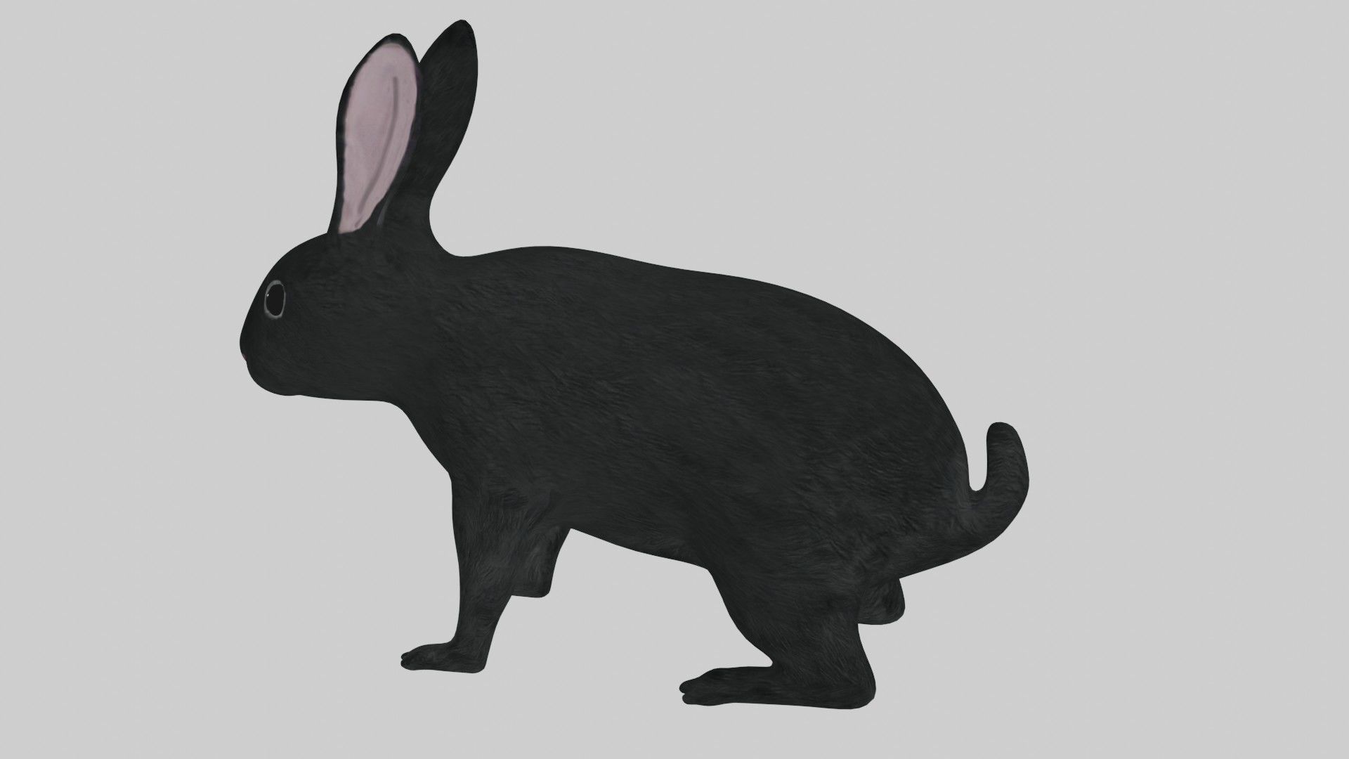 Black Rabbit low poly rigged Low-poly 3D model_4