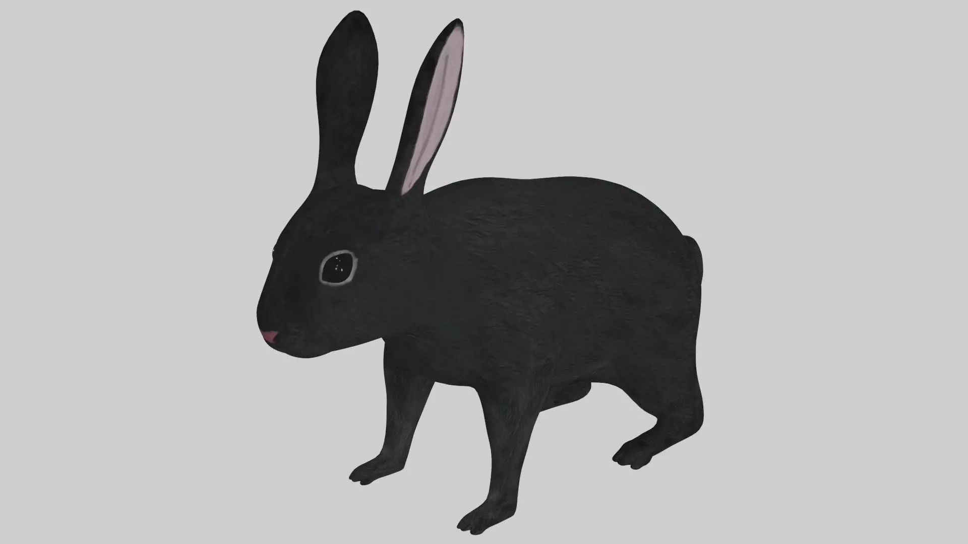 Black Rabbit low poly rigged Low-poly 3D model_0