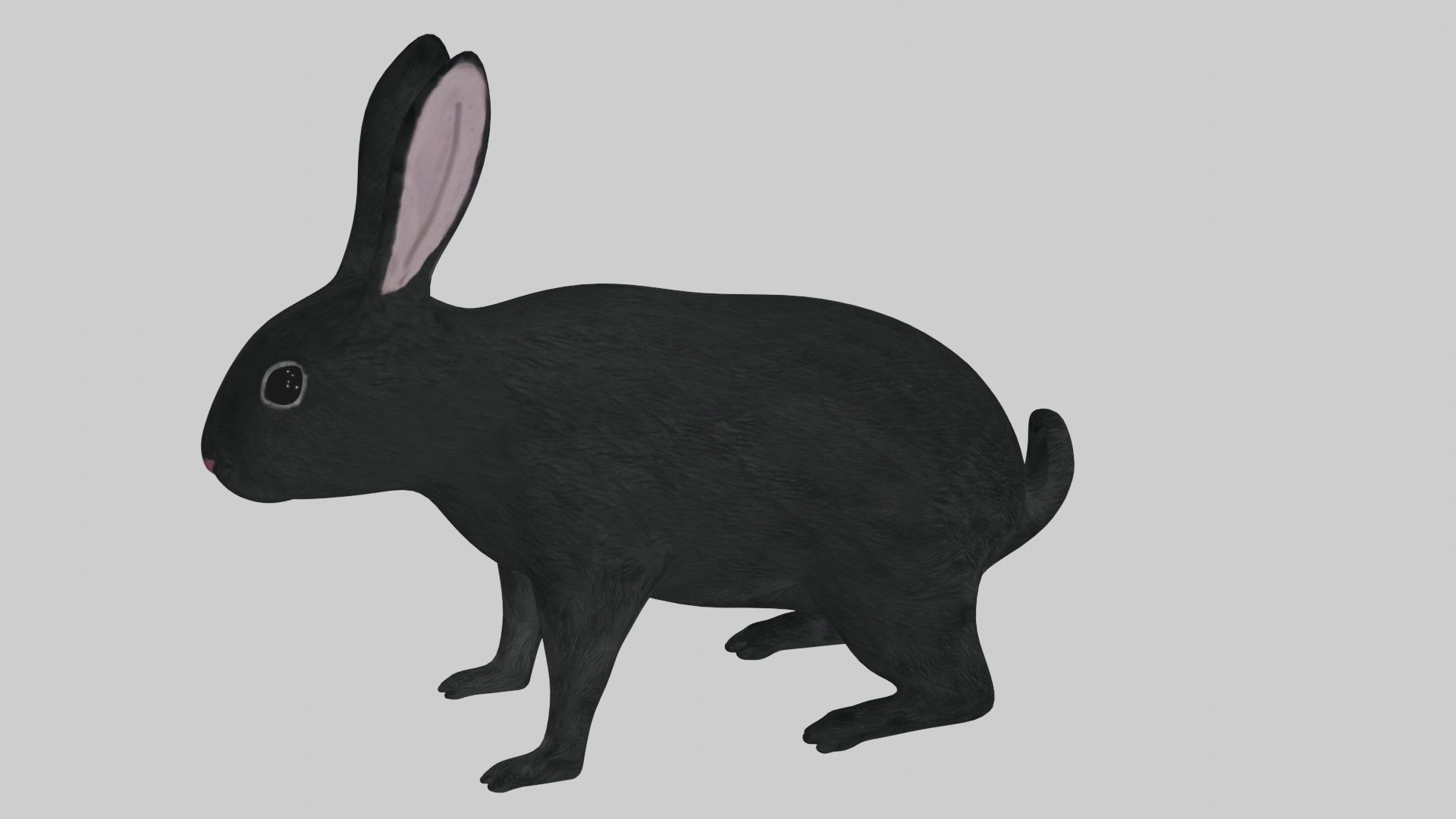Black Rabbit low poly rigged Low-poly 3D model_3