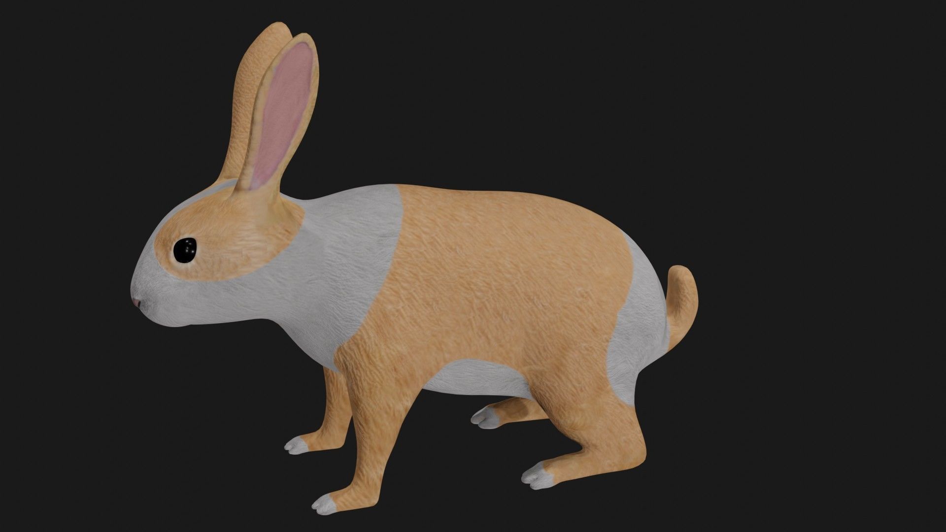 White orange bunny rabbit low poly rigged Low-poly 3D model_2