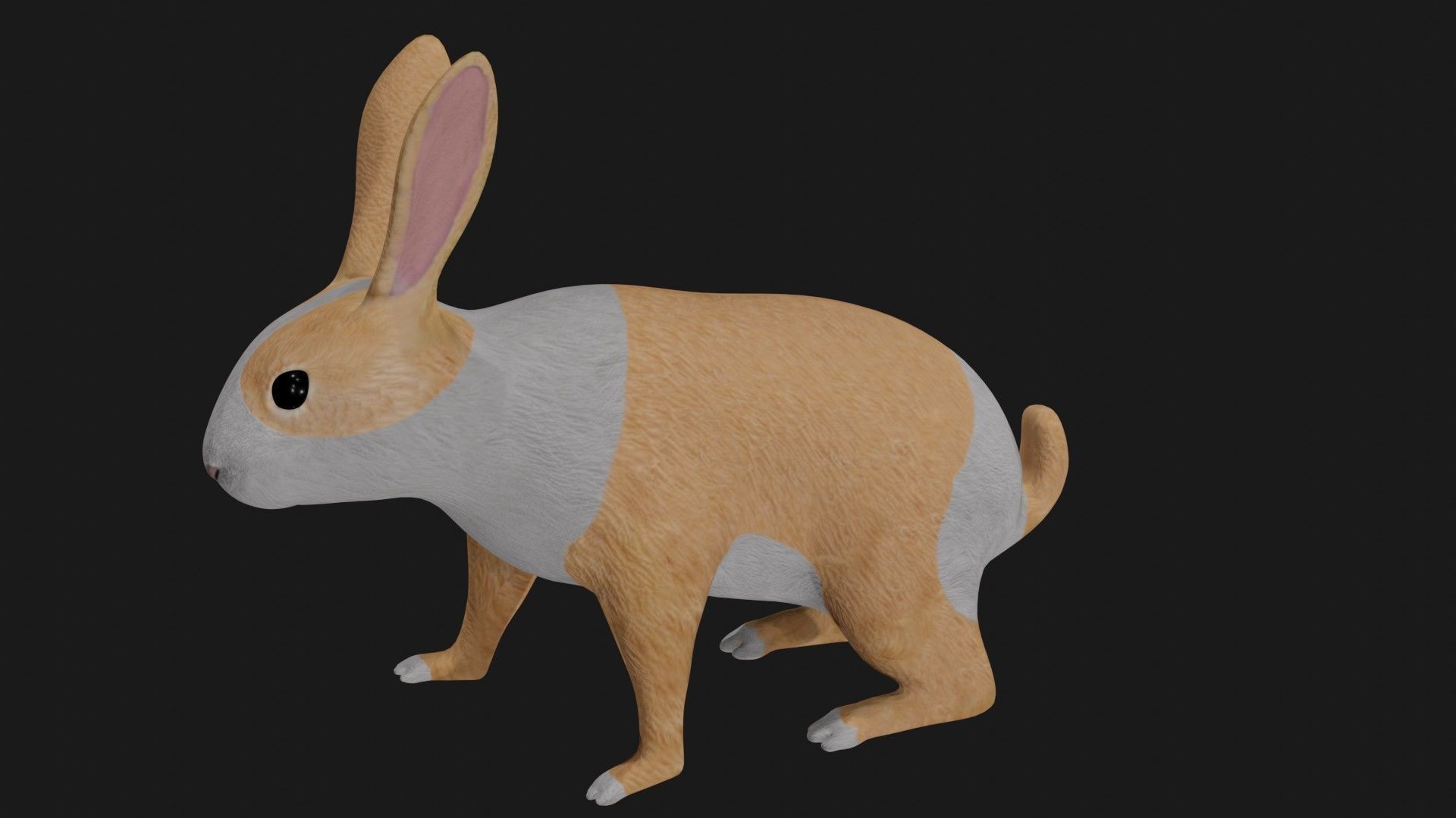 White orange bunny rabbit low poly rigged Low-poly 3D model_1