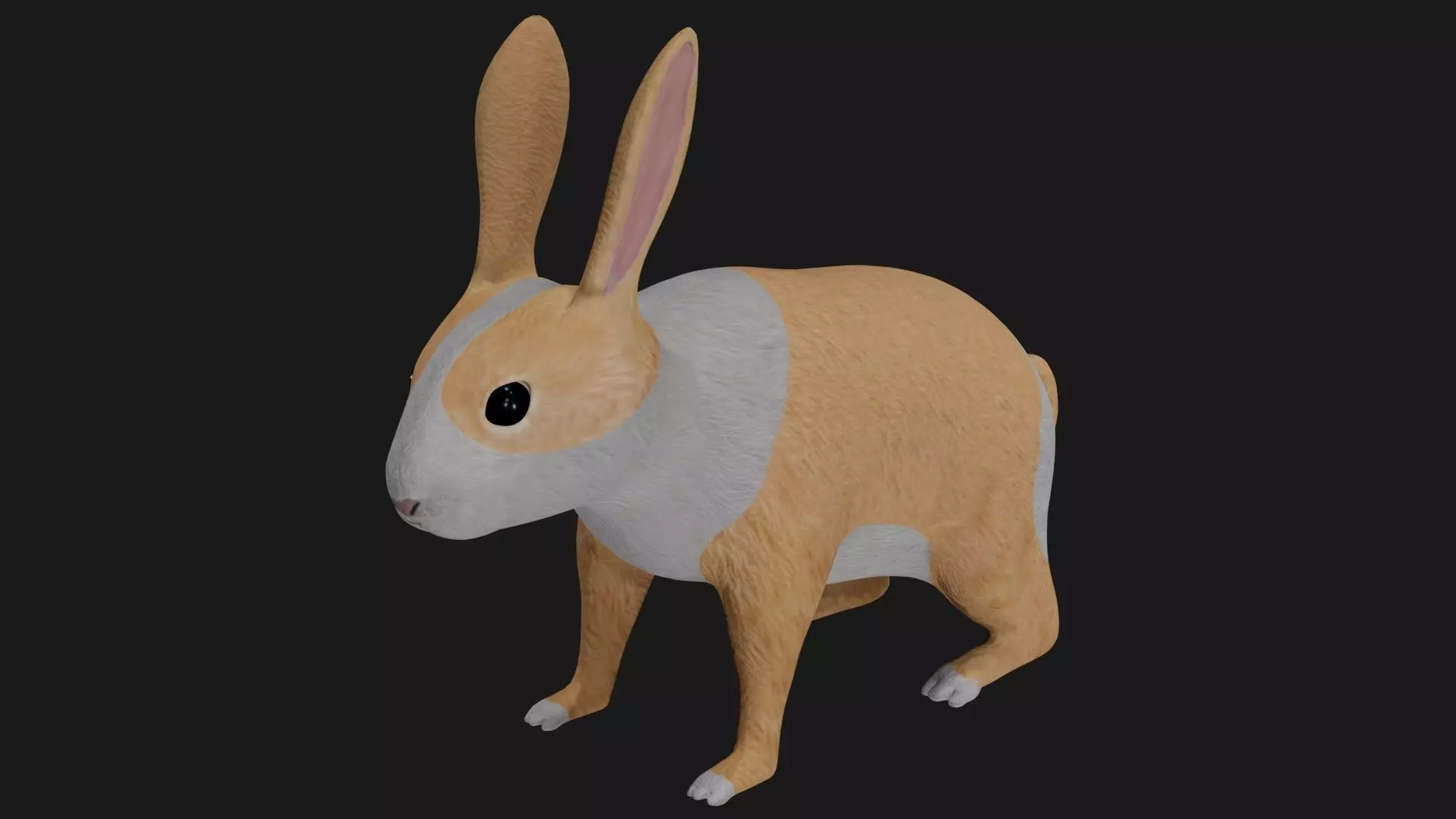 White orange bunny rabbit low poly rigged Low-poly 3D model_0