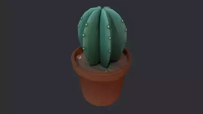 Cactus 02
