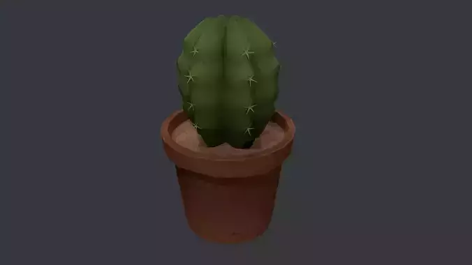 Cactus 03