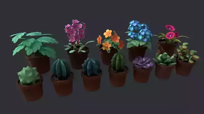 Foilage flower in pot