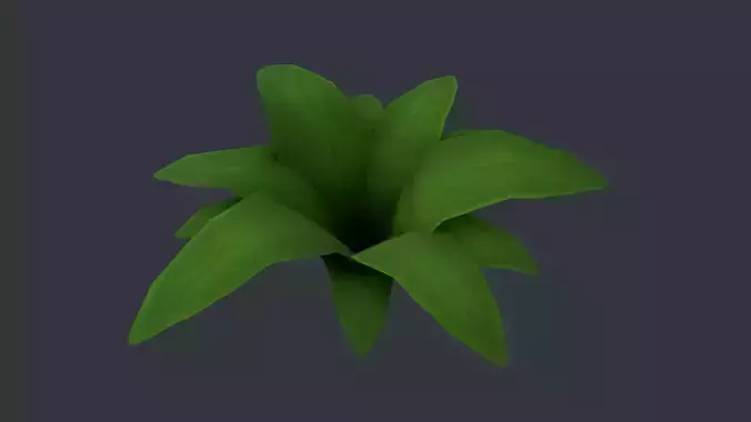 Plant 01