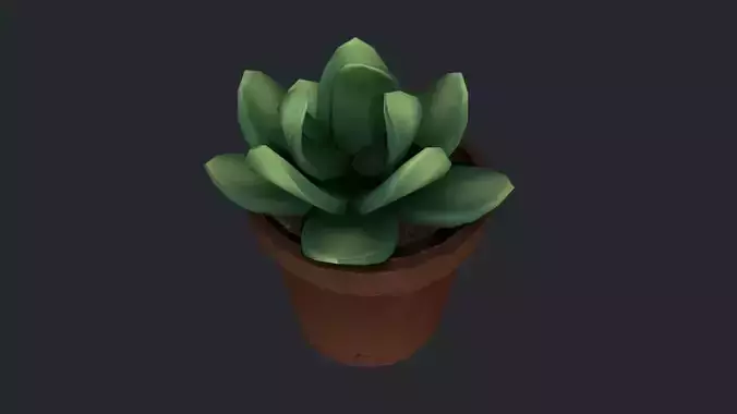 Plant 05