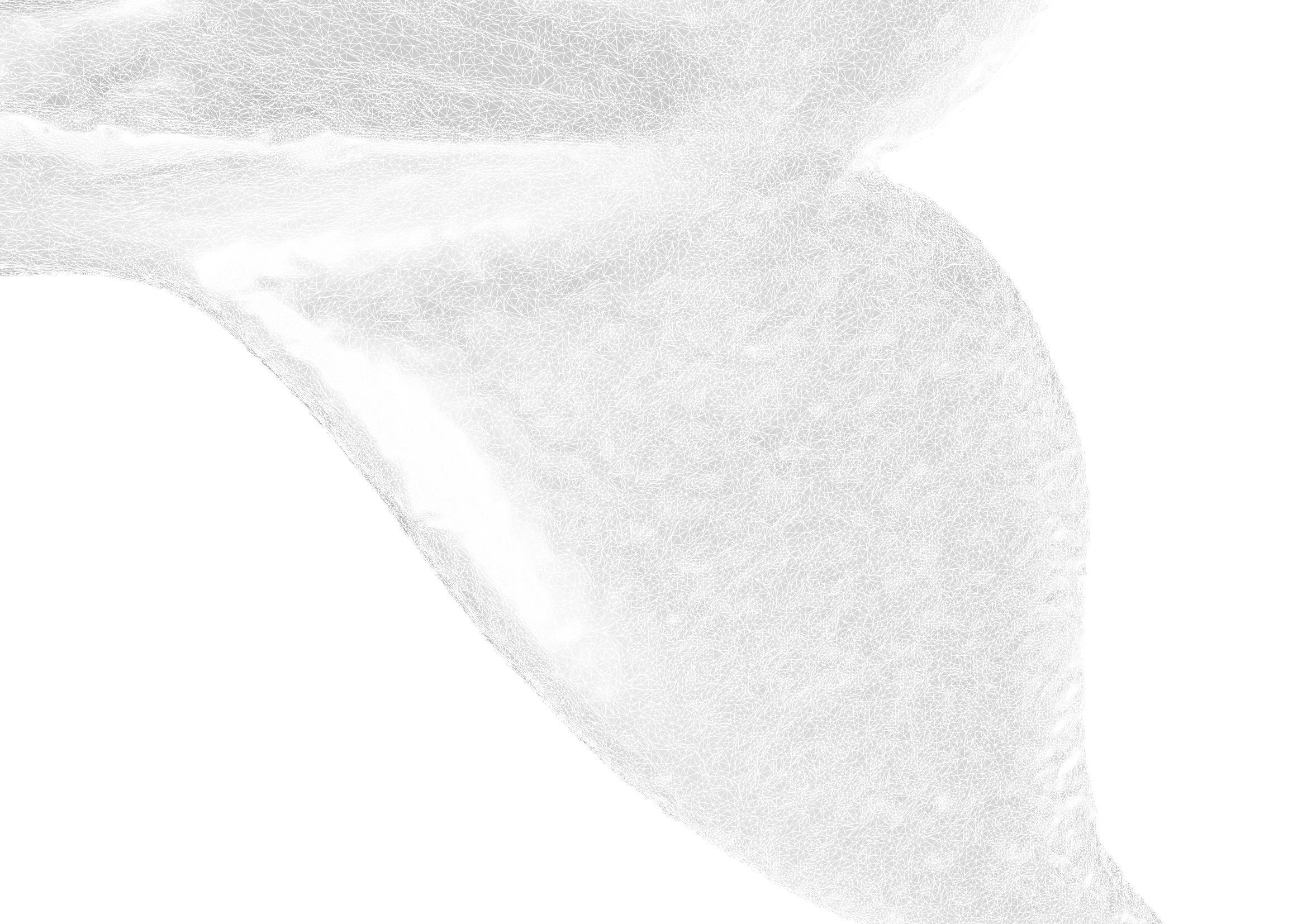 Humpback Whale -  Megaptera novaeangliae 3D model_5